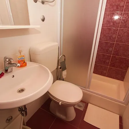 Apartman Vitomir *